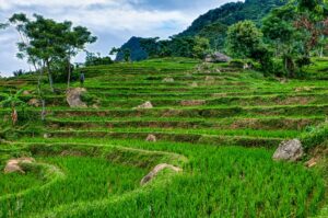 Java Ecosystem Update: TomEE 10, Struts 7, and the Evolution from Java 8 to Jakarta EE