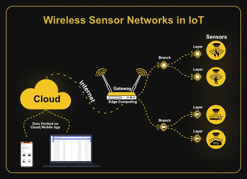 IoT sensors network - Wireless Sensor Network in IoT